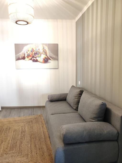 Cocon De Charline - Charme Et Elegance Dans Le Centre Appartement Montauban Buitenkant foto